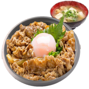 Gyu Don Onsen Tamago 110